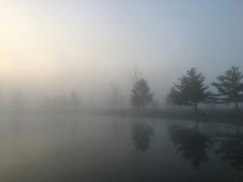 A foggy lake